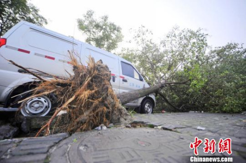 扬州遭遇强对流天气 多地一片狼藉居民称太恐怖(图)