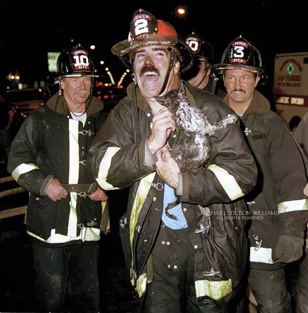 铁汉柔情 | 消防员蜀黍和被救小动物之间的故事