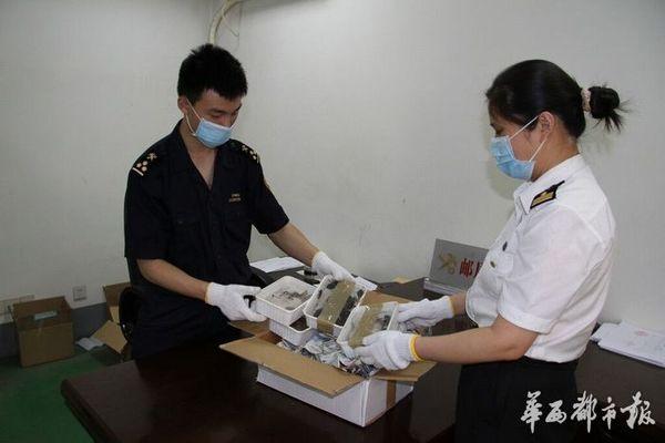 成都查获巨型蟑螂 盘点人类捕获的庞然巨兽