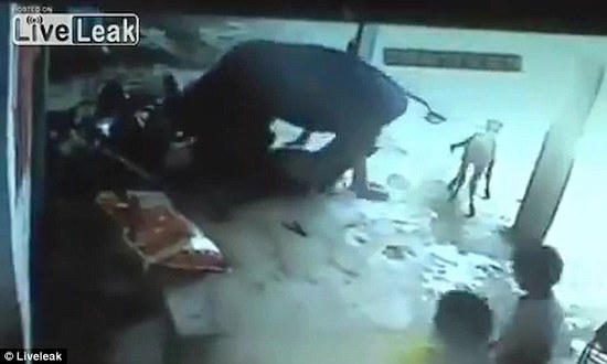 印度女孩被亲生父亲刀刺处决,一头母牛竟出手相救!