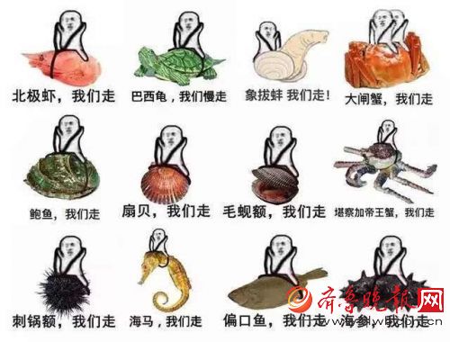 皮皮虾我们走究竟是什么梗怎么来的 皮皮虾升级版表情包汇总(图)