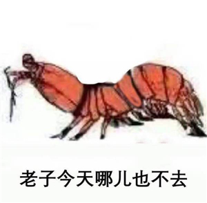 究竟皮皮虾我们走是什么梗？海鲜界的小弟咋成了表情包界的扛把子(图)