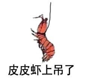 究竟皮皮虾我们走是什么梗？海鲜界的小弟咋成了表情包界的扛把子(图)