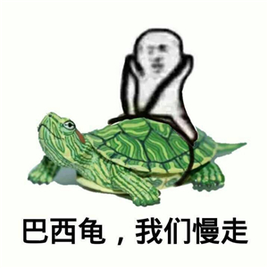 究竟皮皮虾我们走是什么梗？海鲜界的小弟咋成了表情包界的扛把子(图)