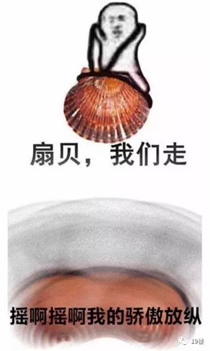 究竟皮皮虾我们走是什么梗？海鲜界的小弟咋成了表情包界的扛把子(图)