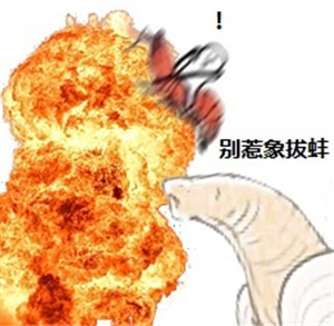 究竟皮皮虾我们走是什么梗？海鲜界的小弟咋成了表情包界的扛把子(图)