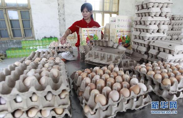 多地鸡蛋价格飞涨 网友戏称“火箭蛋”