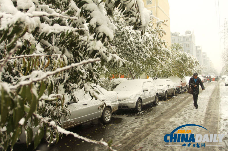 冷空气来袭 吉林长春迎下半年首场降雪