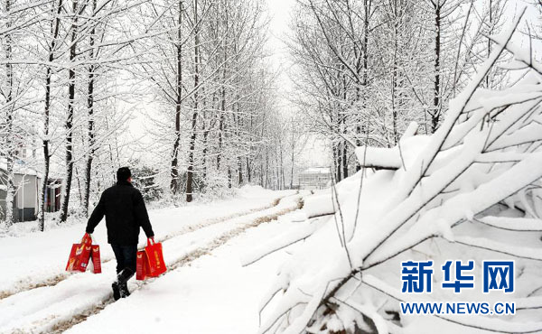 大雪侵袭致安徽30万余人受灾 90间房屋倒塌