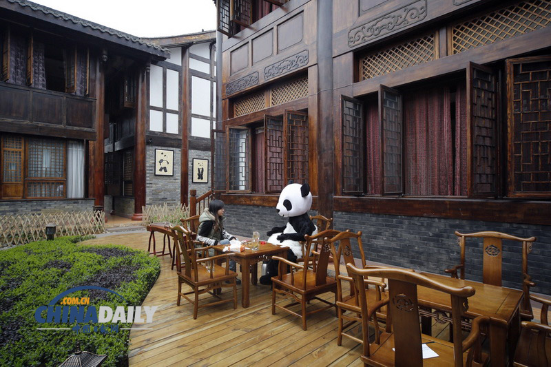 全球首家熊猫文化主题酒店亮相四川峨眉山(组图)