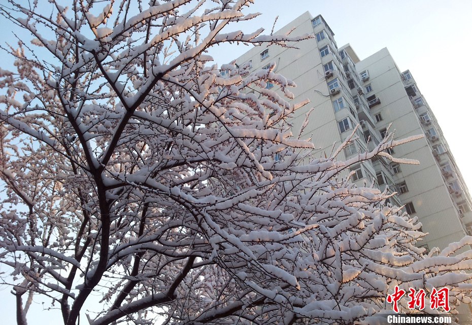 北京大雪迎春分