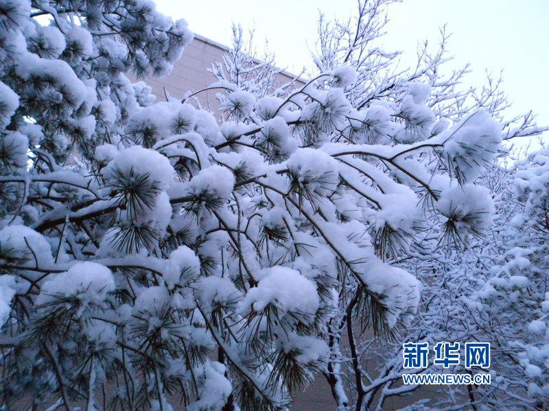 北京大雪迎春分