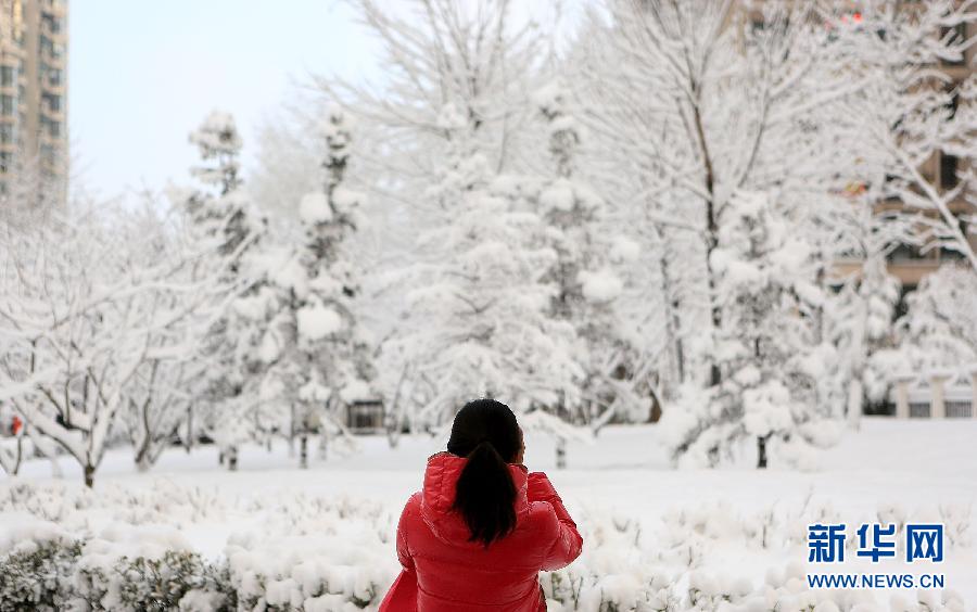 京城降雪迎春分 银装素裹如童话世界