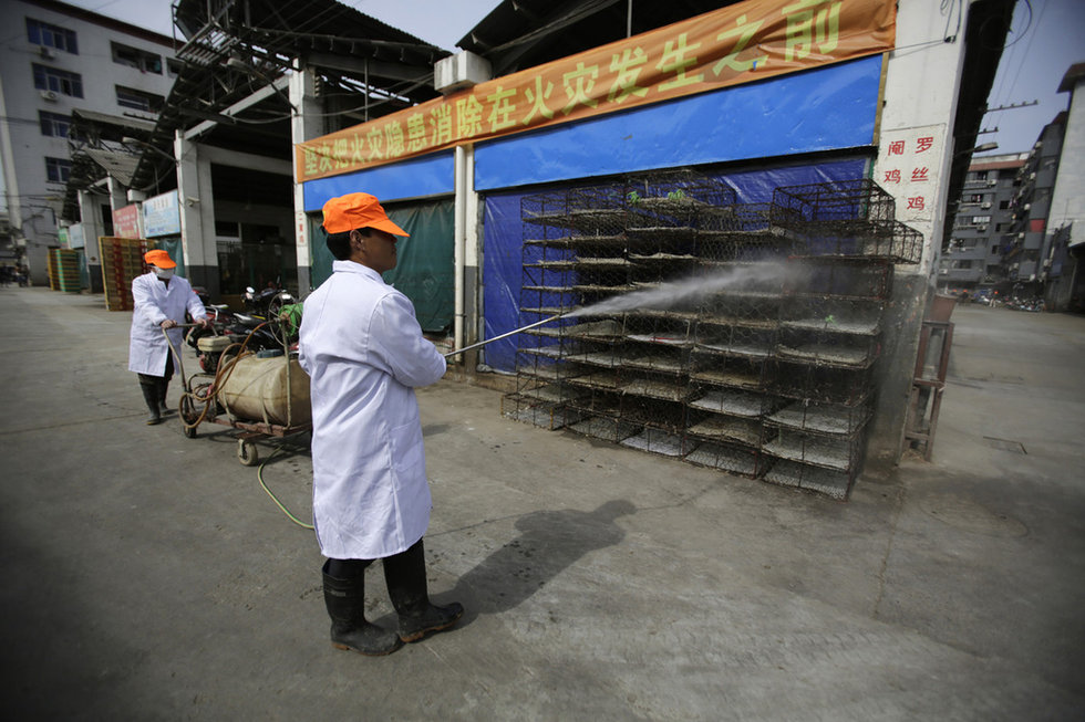 组图：中国多地备战H7N9禽流感