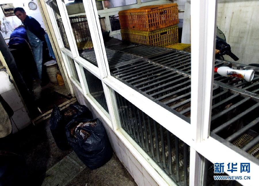 上海6日起暂停活禽交易 关闭所有活禽交易市场