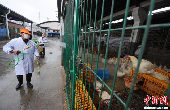 全国报告18例人感染H7N9禽流感确诊病例 6人死亡