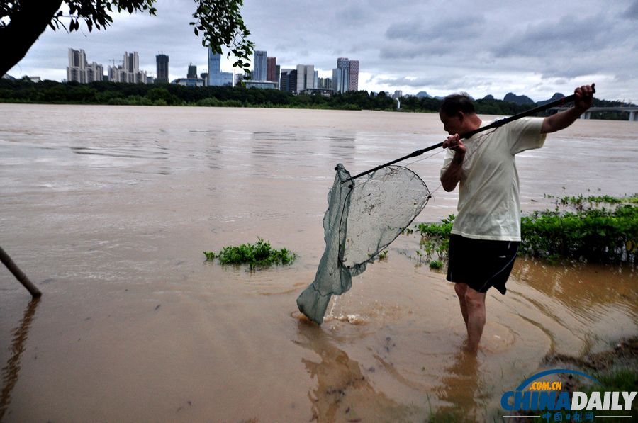 柳江柳州段出现超警戒水位 水位仍在上涨