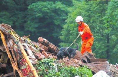 都江堰滑坡已致26人遇难 失踪者数量升至123人