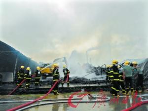 广东湛江一木料生产区失火 未发现人员伤亡