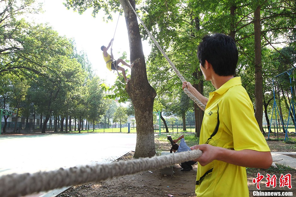 南京一高校拟开设“爬树课” 将对市民开放