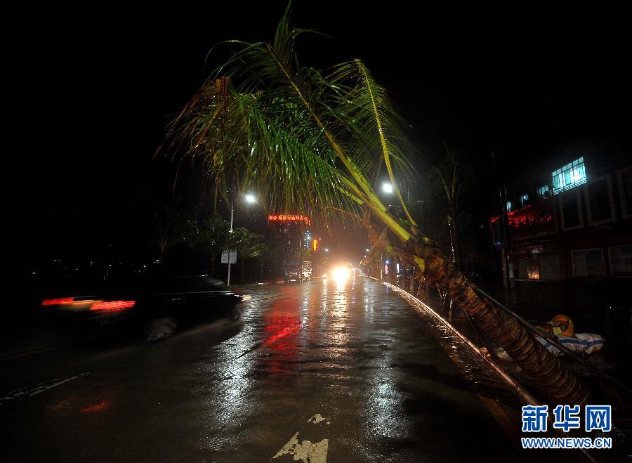 强热带风暴“飞燕”登陆海南 街边大树被连根拔起