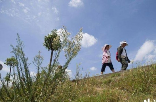 父亲磨炼8岁女 从深圳回湖南徒步700公里