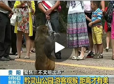 游客喂猴致男婴睾丸被吞食 母亲见状吓到崩溃(图)