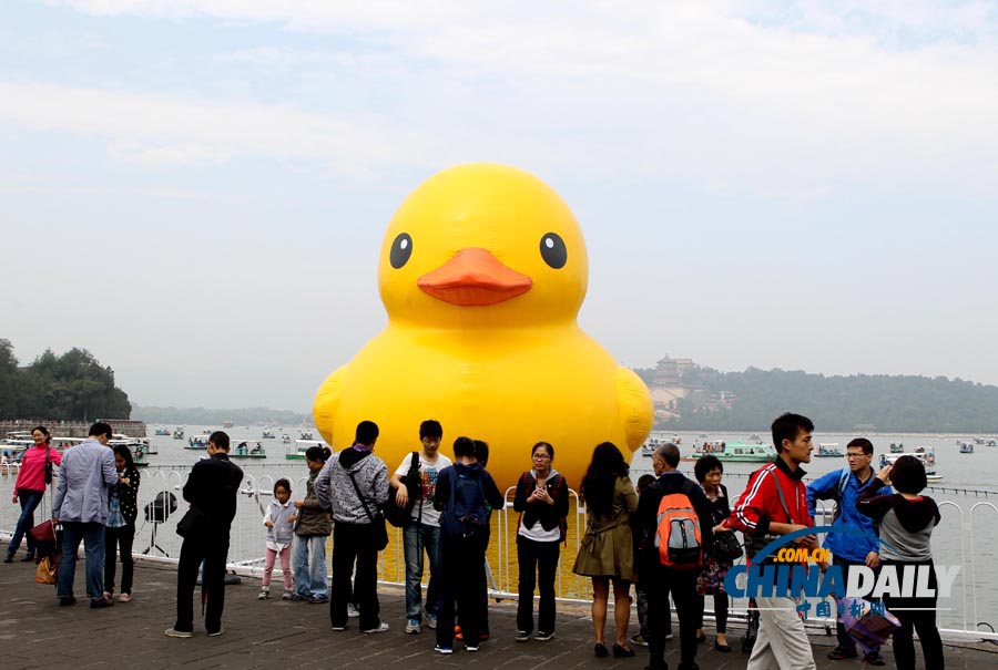 数万名中外游客冒雨进颐和园看“大黄鸭”