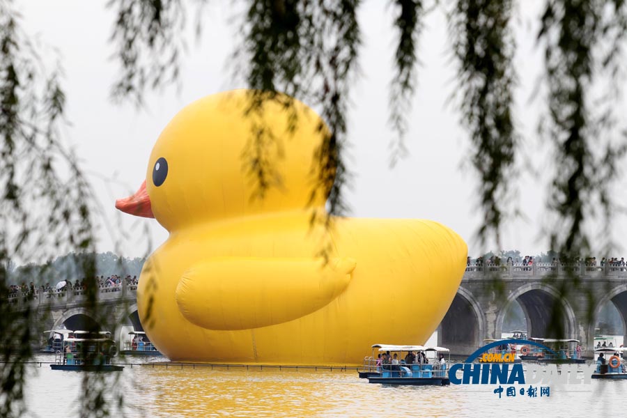 数万名中外游客冒雨进颐和园看“大黄鸭”