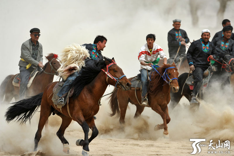 柯尔克孜族叼羊比赛图片