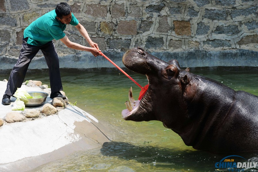 中国日报一周图片精选:亲历者讲述越南反华骚乱