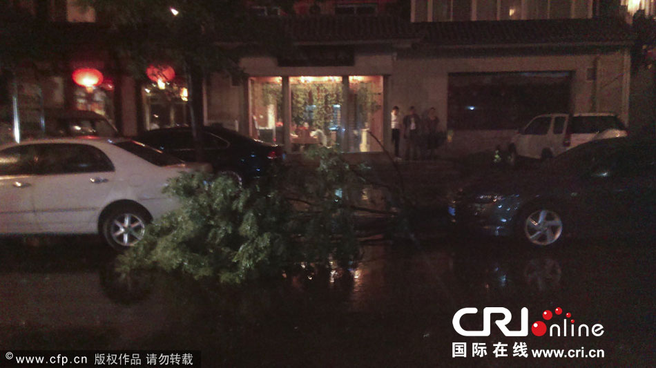 北京突遭狂风暴雨袭击 大树被折断(高清组图)