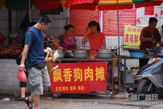 桂林狗肉节图片