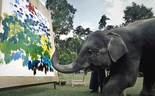 泰国“大象艺术家”作画 曾拜中国师父