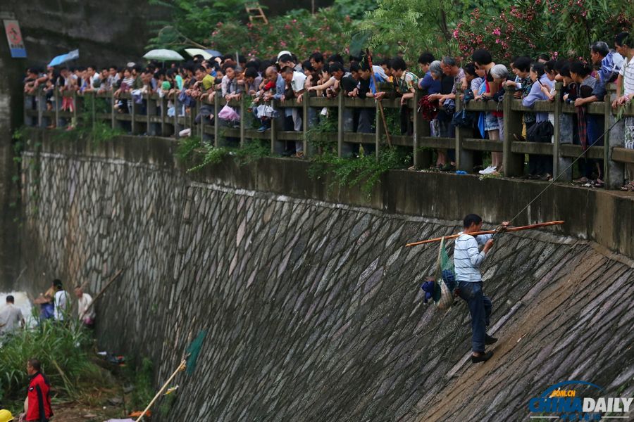 浙江衢州：泄洪口的“捞鱼大赛”
