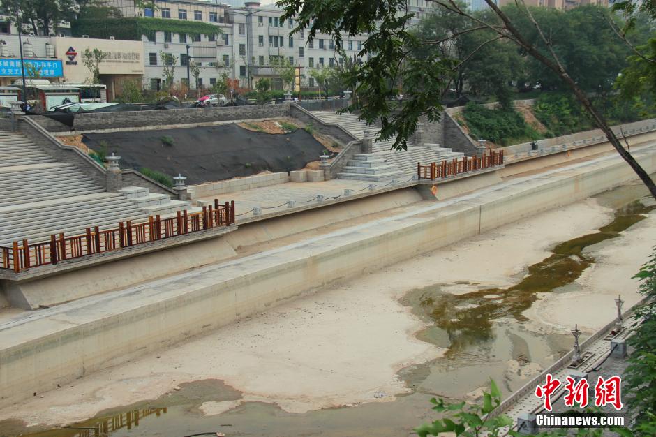 西安持续干热 护城河沿岸植被“烤焦”