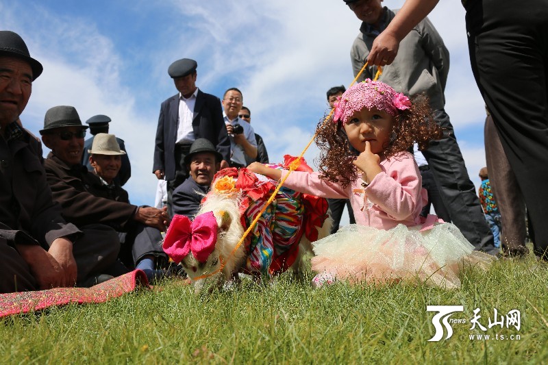新疆举办“抱羊赛跑”大会