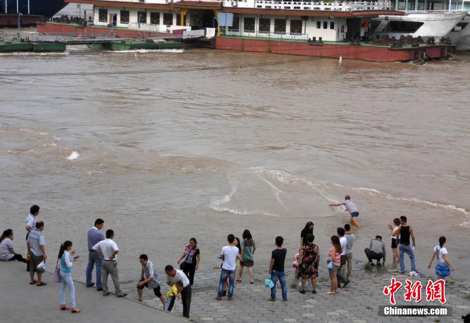 长江重庆段迎秋汛 水位迅速上升泾渭分明