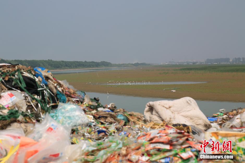 浙江余姚杭州湾海涂垃圾倾倒处现七彩油污[组图]