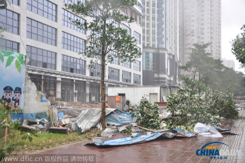 台风“海鸥”海南登陆 路旁树木被吹倒