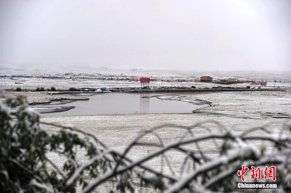 四川红原大草原迎来今年入秋第一场雪