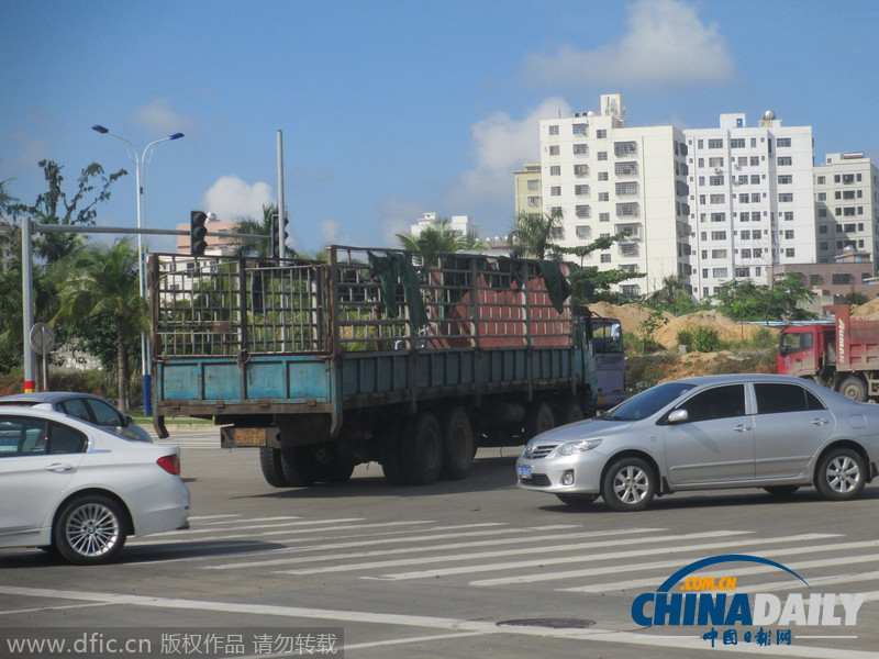 海口一路口老牛遛弯无监控 红绿灯闲置一年交管部门称“设备未移交”