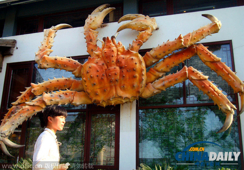 巨型螃蟹亮相苏州街头 霸气侧漏引围观