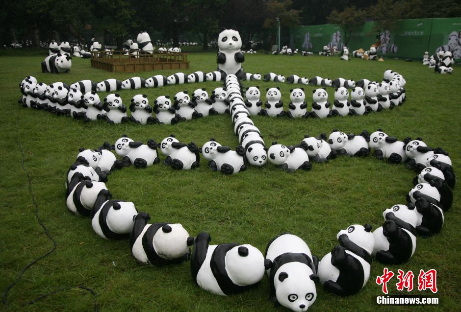 1600只环保“熊猫”下榻杭州