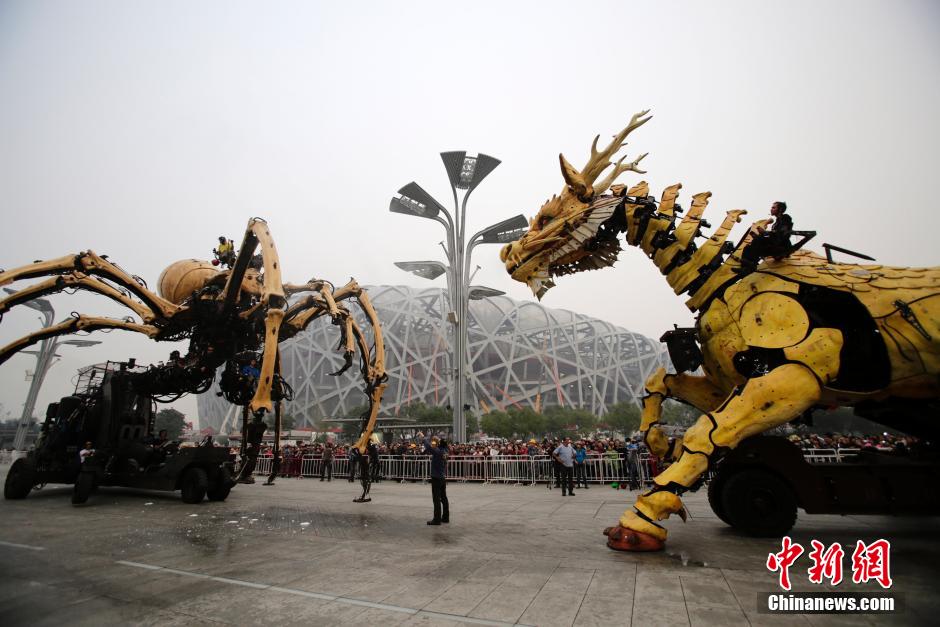 北京鸟巢外上演“龙马”大战“蜘蛛”
