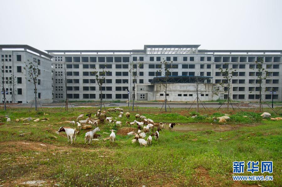安徽萧县新建办公楼“冬眠” 闲置2年几成放羊场