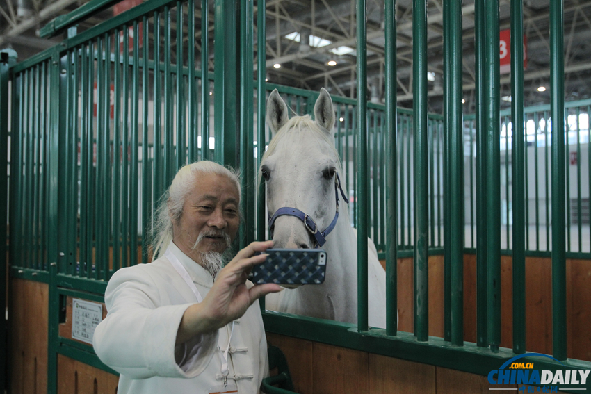 2014第八届中国国际马业马术展览会在京举行