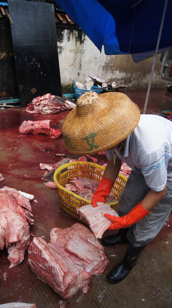 三亚鱼货市场现白鲨宰杀