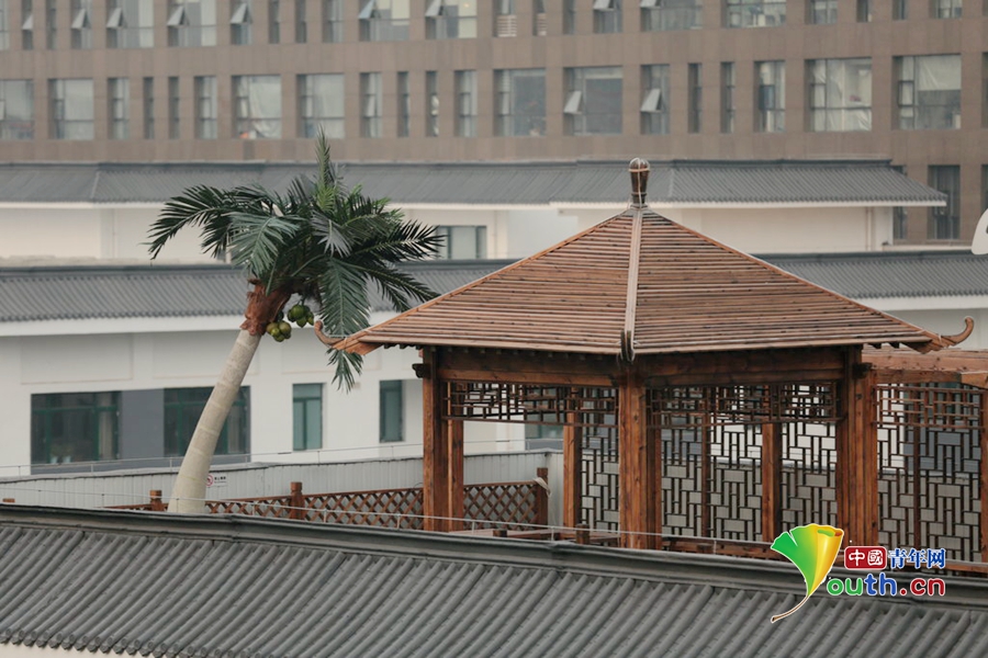 北京八一中学屋顶建环保花园 小桥流水亭台楼阁一应俱全