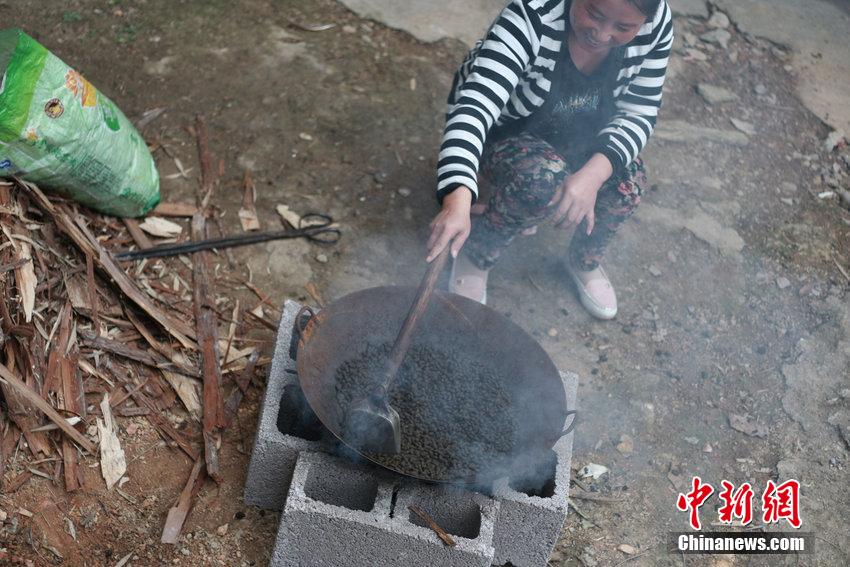 湖南村民用牛羊粪便泡水喝 称可治疗癌症